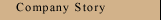 My Company Story